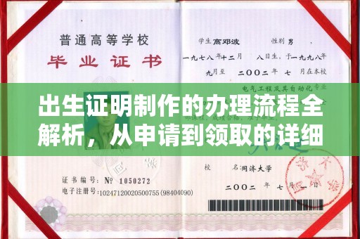 惠济出生证明制作的办理流程全解析，从申请到领取的详细指南